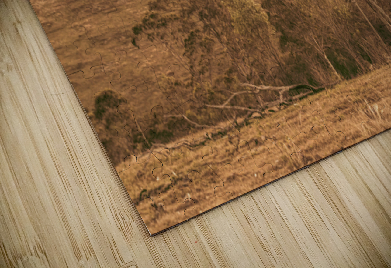 Gold Country Jorgo Puzzle