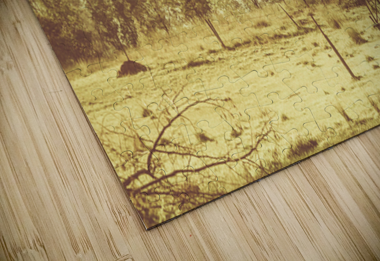 Black Horse Creek Windmill Jorgo Puzzle