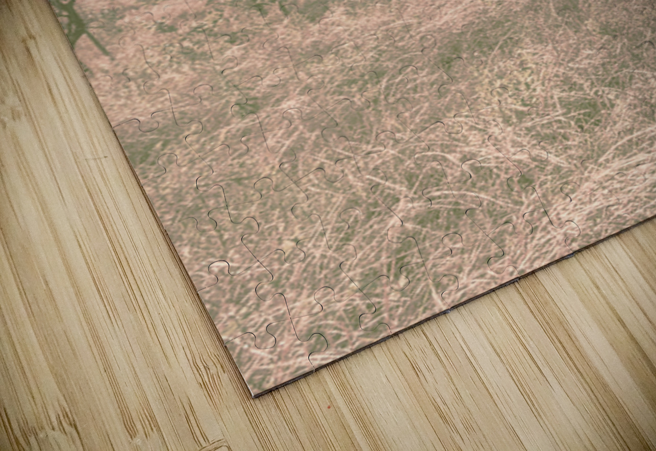 Backcountry Calm Jorgo Puzzle