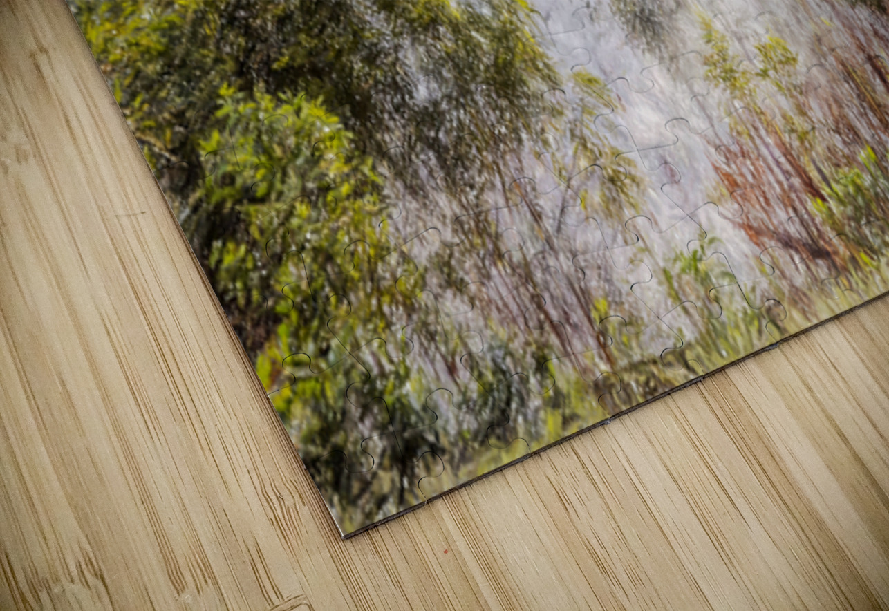 The Fog And The Forest Jorgo Puzzle