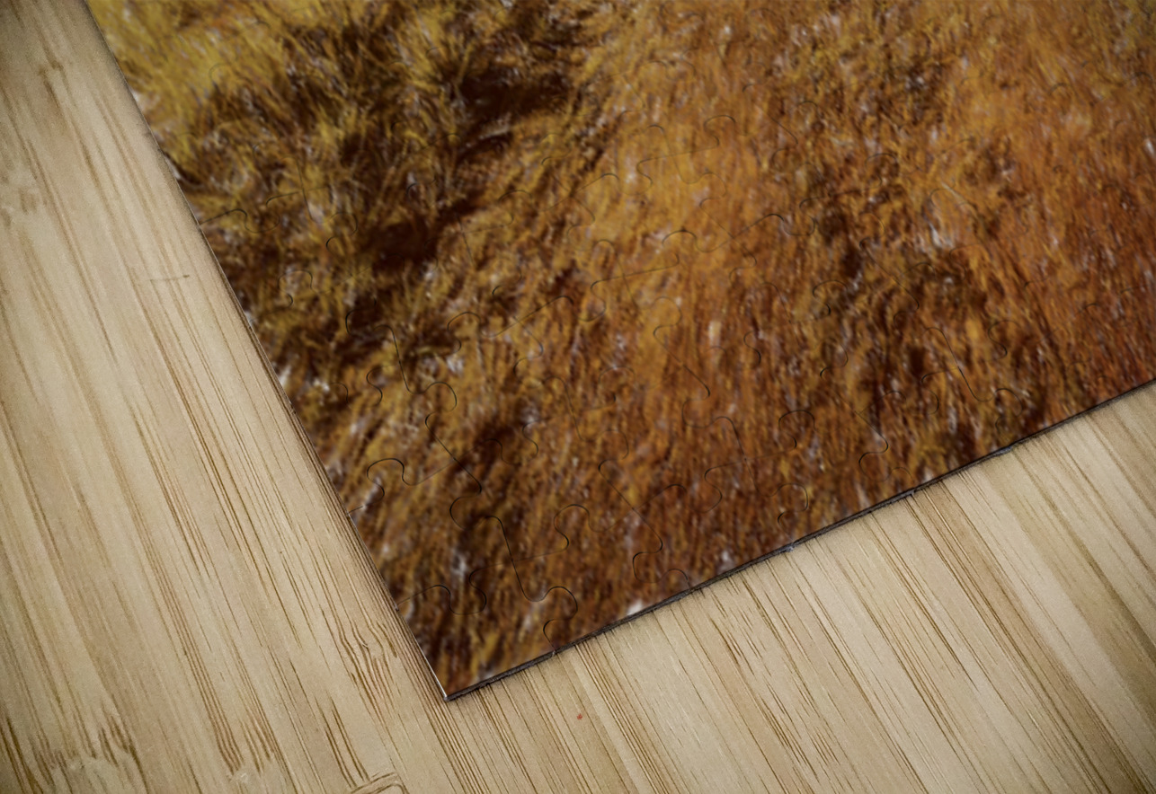 Trailing Branch Creek Jorgo Puzzle