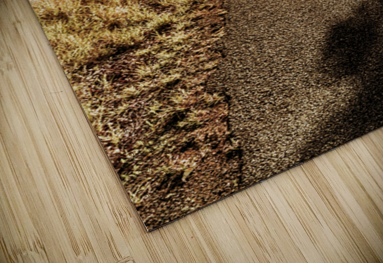 Sun Dipped Jorgo Puzzle