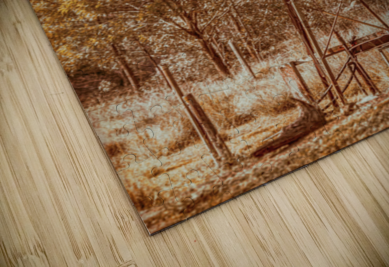 Pioneering Country Jorgo Puzzle