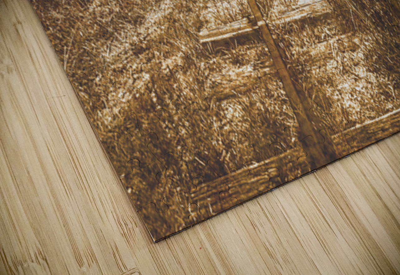 Ideraway Rail Crossing Jorgo Puzzle