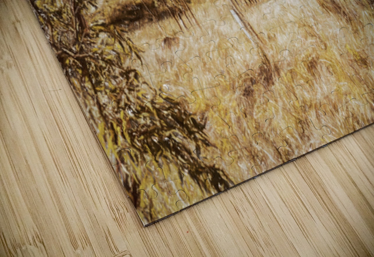 Branch Creek And Beyond Jorgo Puzzle