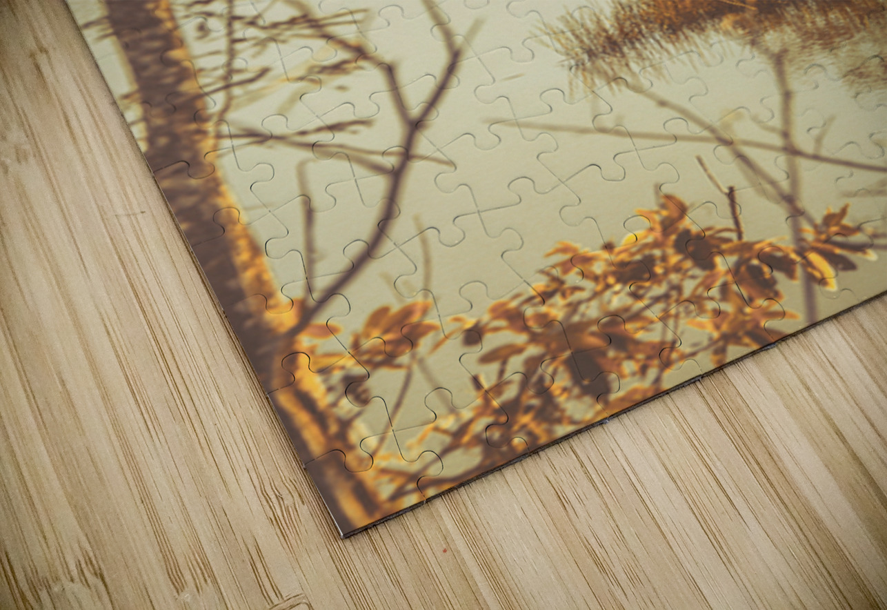 Country Golden Jorgo Puzzle