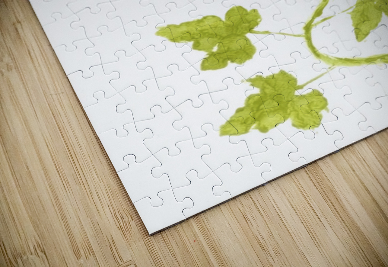 Vine Twist Jorgo Puzzle