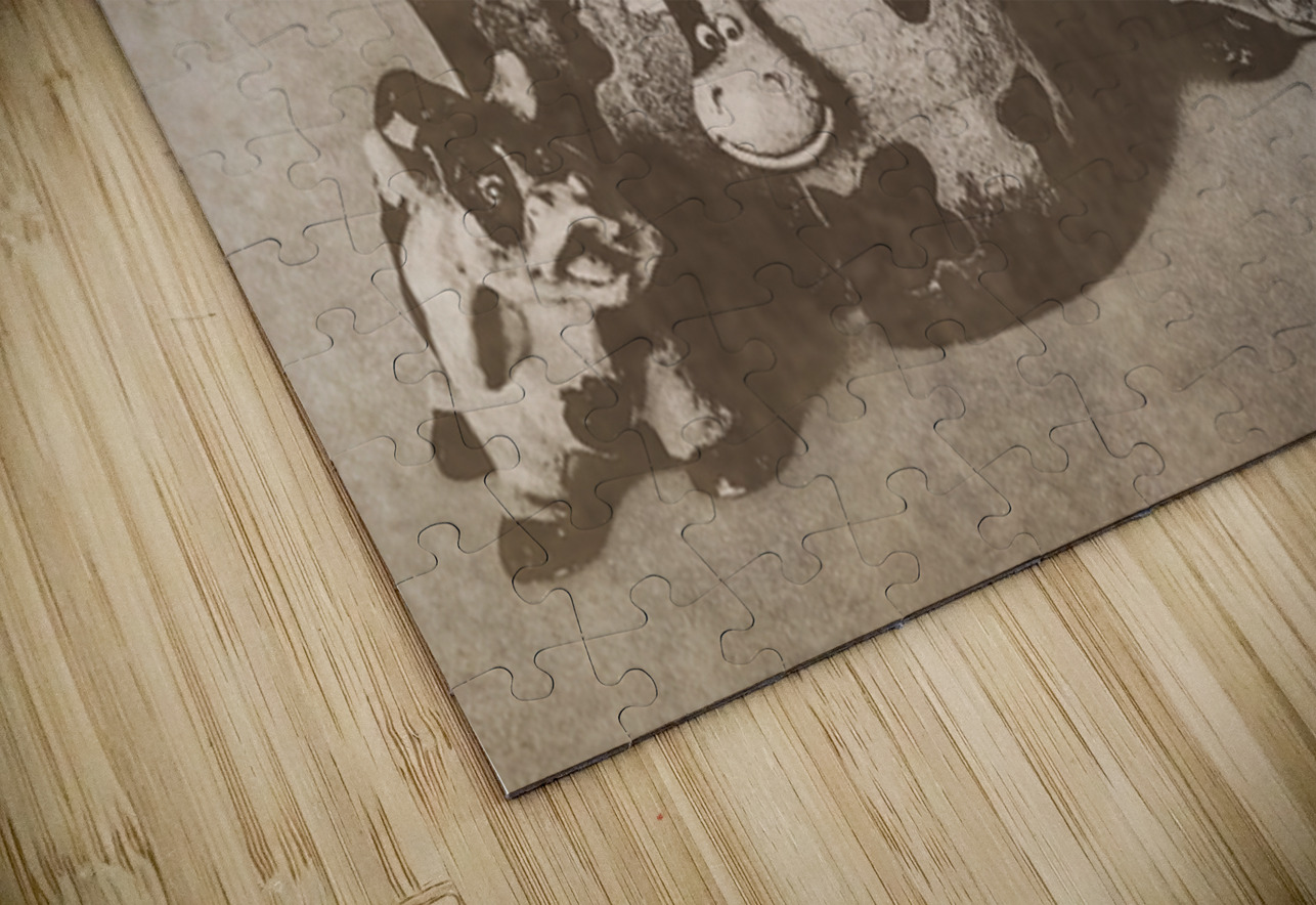 Old Figurine Farm Jorgo Puzzle