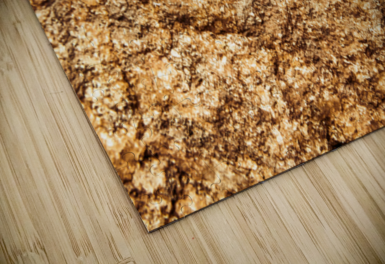 Rich And Vibrant Jorgo Puzzle