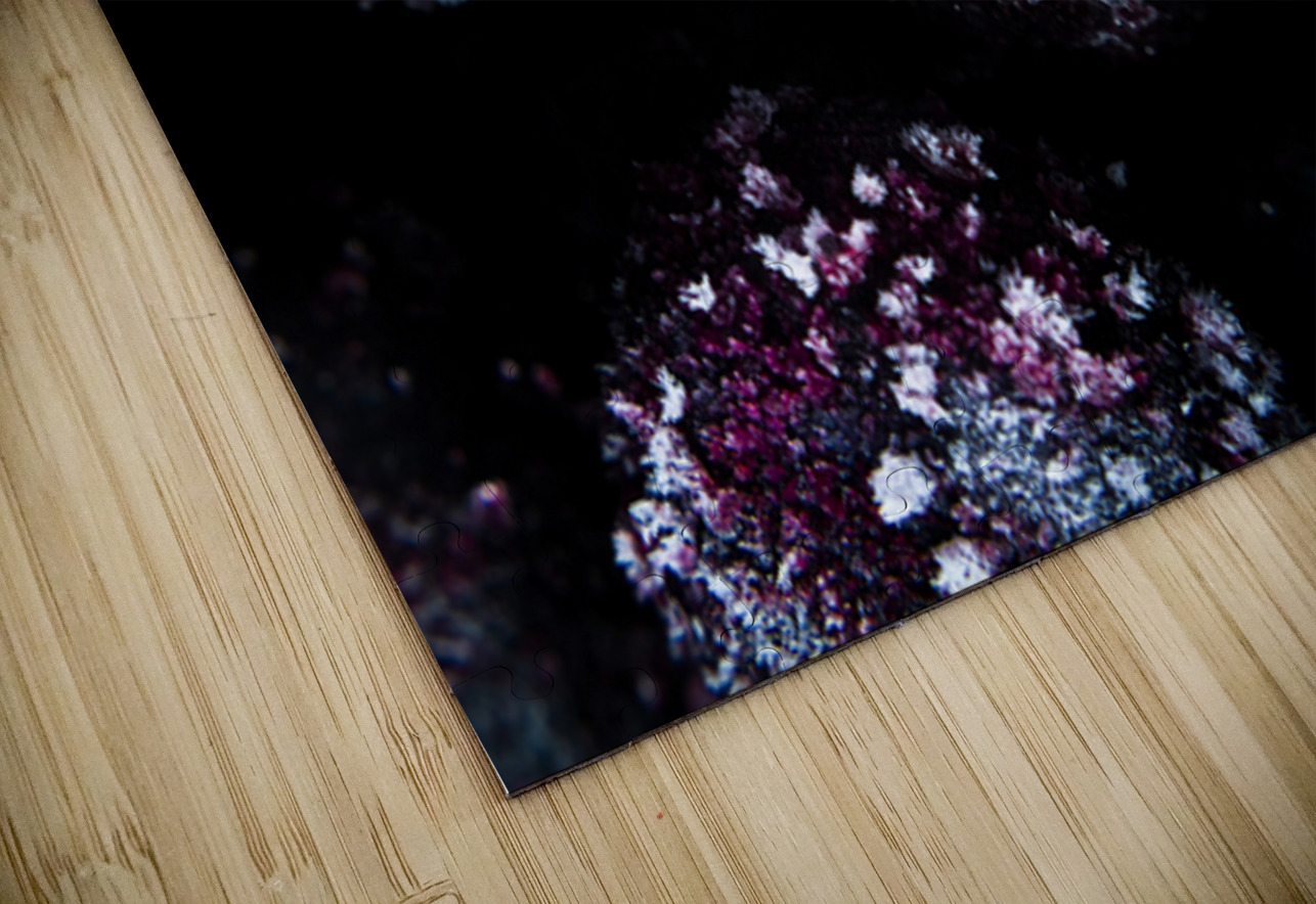 Deep Freeze Jorgo Puzzle