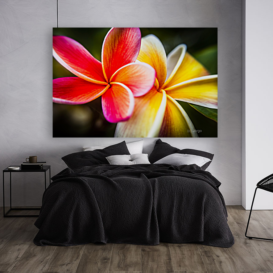 Colorful tropics Art