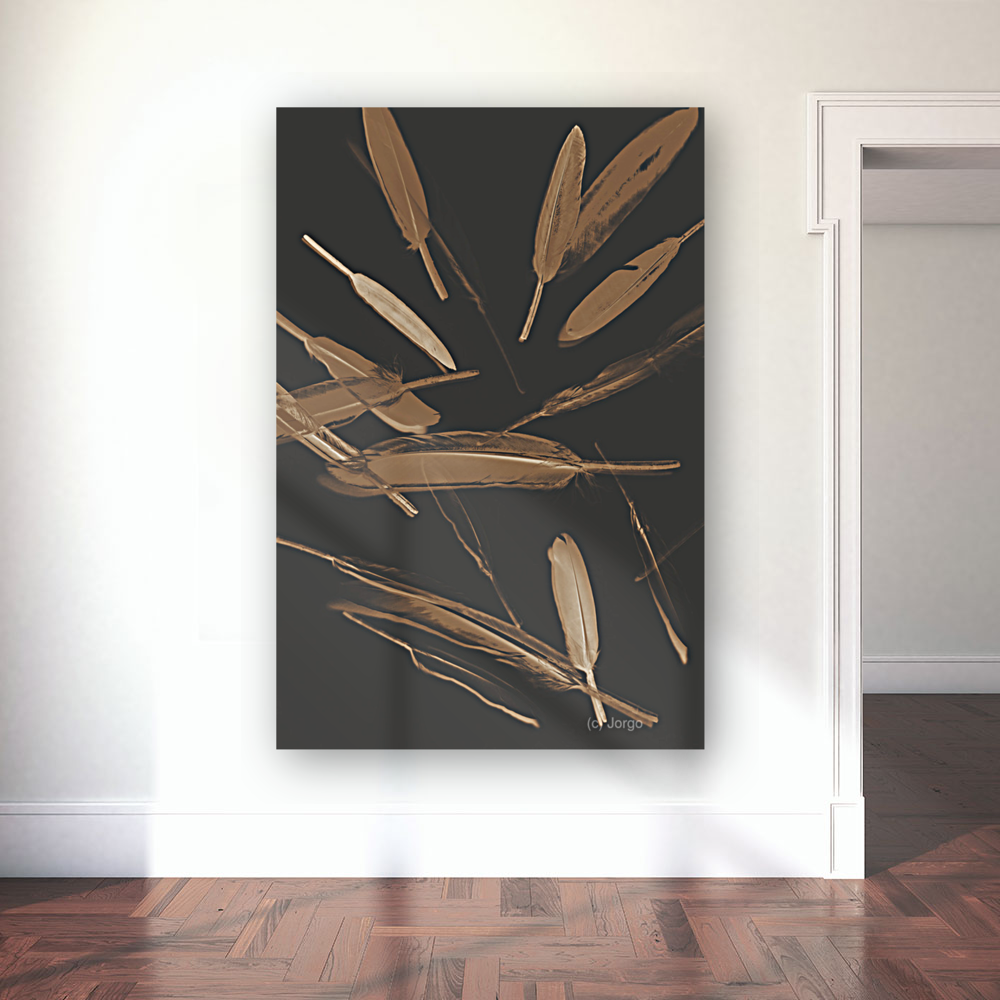 Feather Feature  Art