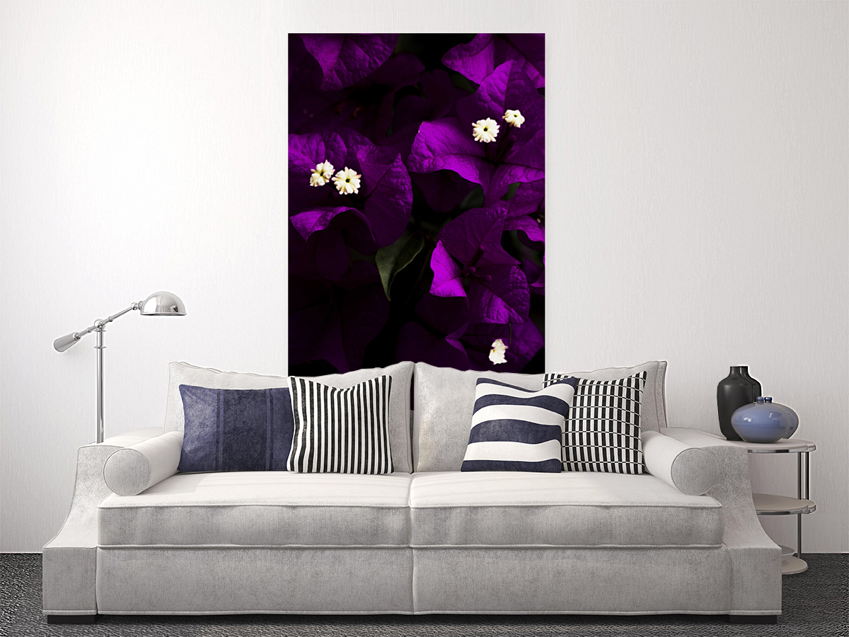 Dark Purple Bougainvillea Flowers Art
