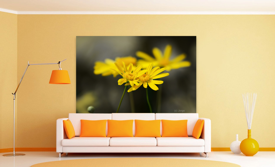 An Organic Connection Art