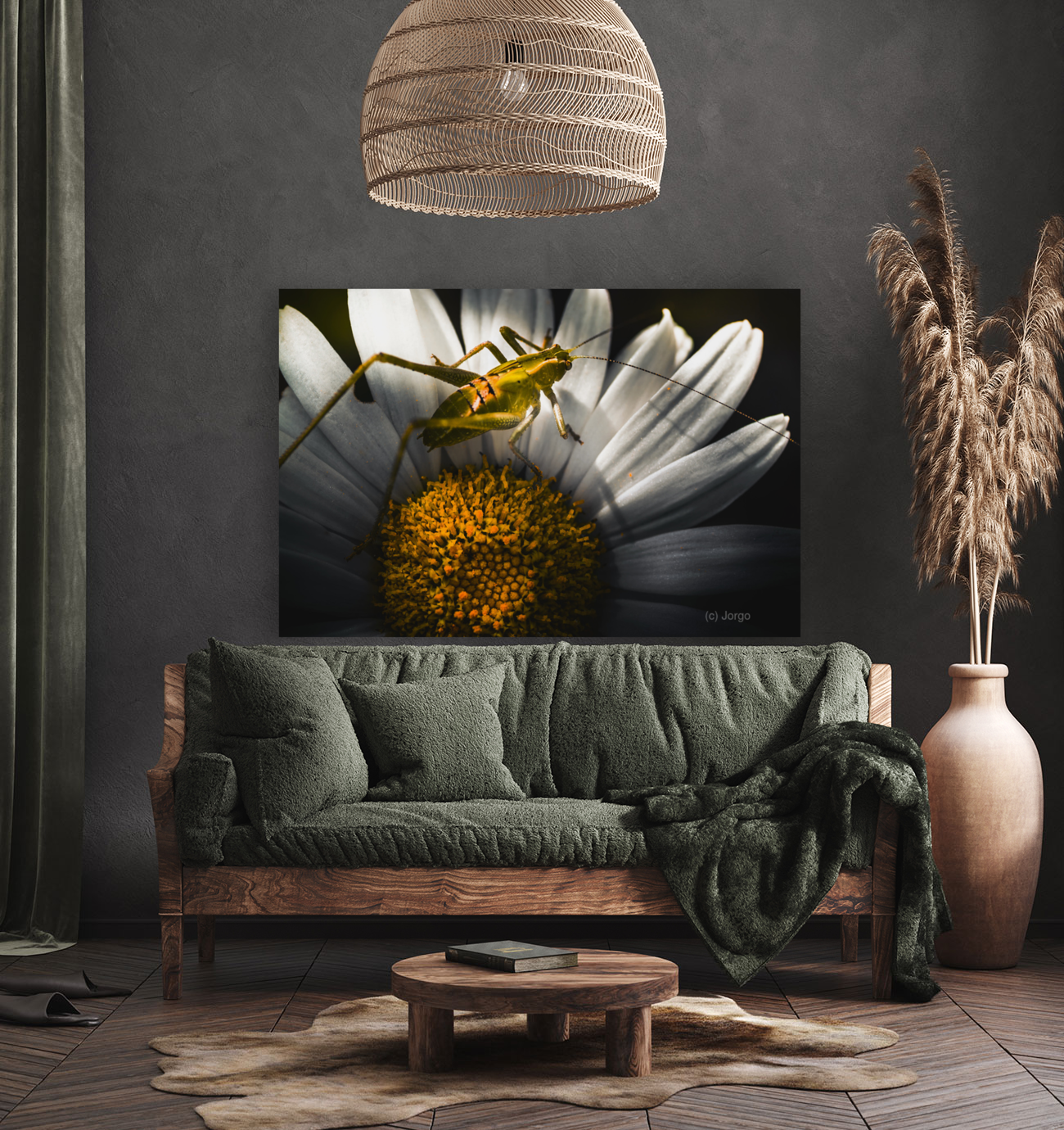 Australian grasshopper on flowers. Spring concept Art