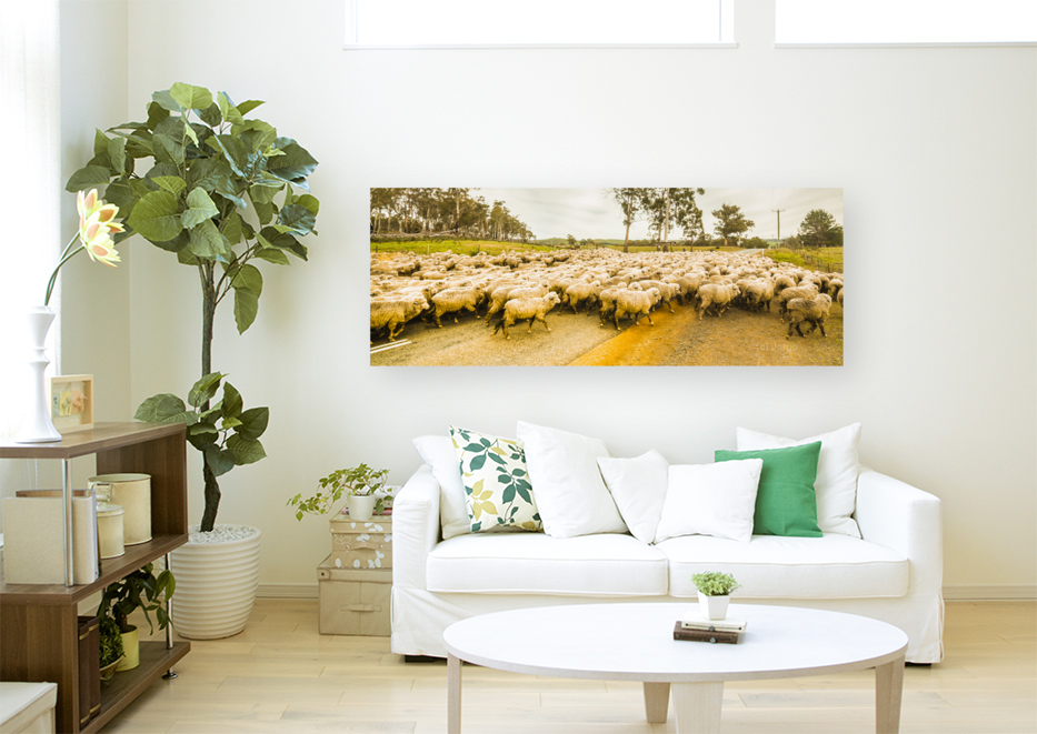 Outback road crossing Art