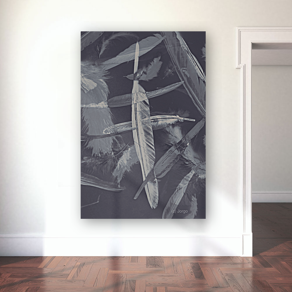 Flying featherabstract background Art